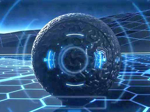 苹果苗批发_苹果苗厂家-山东成鹏农业科技发展有限公司简介